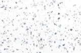 130.SPC Искра белая глянец Столешница Makmart 4200x600x38 R9